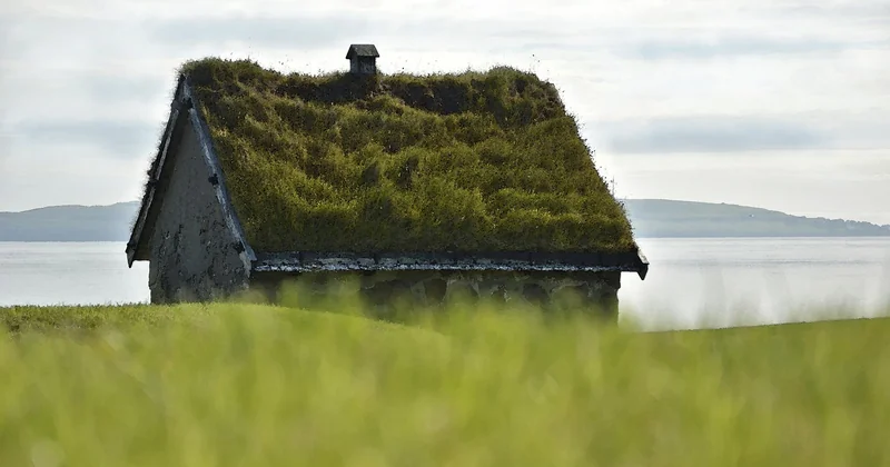 Comparatif rapide : ce que chaque mesure vous protège vraiment