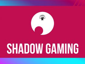 MIni-Shadow-Gaming